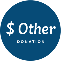 Other Donation Amount
